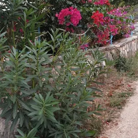 Lefter Sarandë